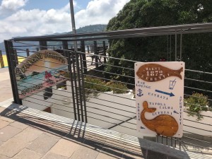 IMG-20180604-WA0018